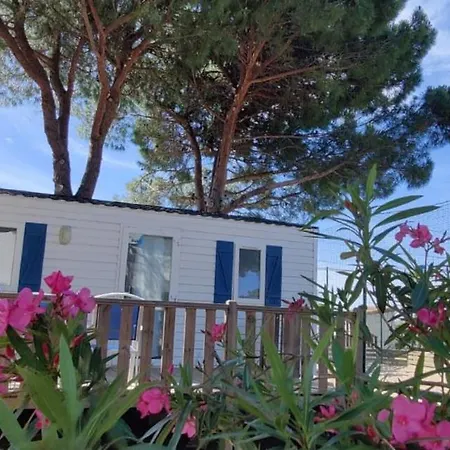 Domaine Residentiel De Plein Air Odalys La Pinede 营地 3*