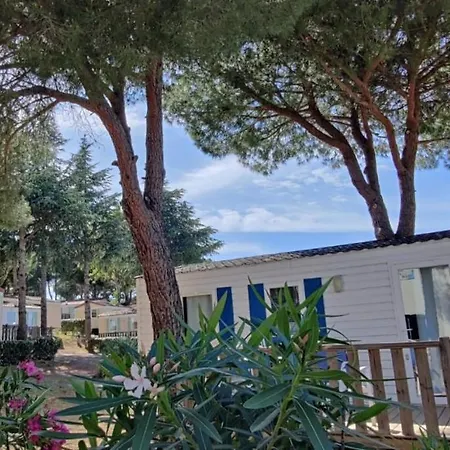 营地 Domaine Residentiel De Plein Air Odalys La Pinede 阿格德