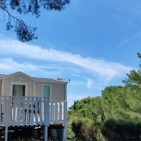 Domaine Residentiel De Plein Air Odalys La Pinede 营地 阿格德