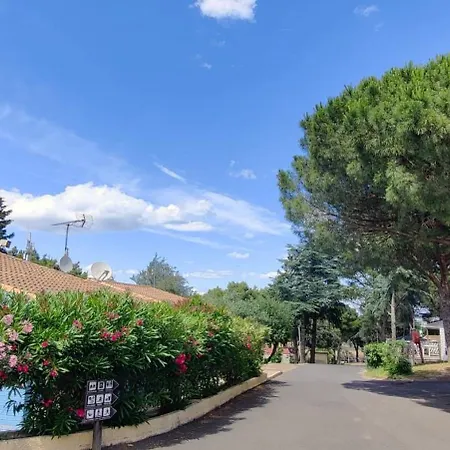 Domaine Residentiel De Plein Air Odalys La Pinede 3*