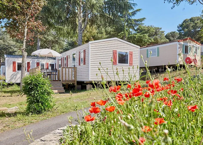 Domaine Residentiel De Plein Air Odalys La Pinede Campingplatz 3*