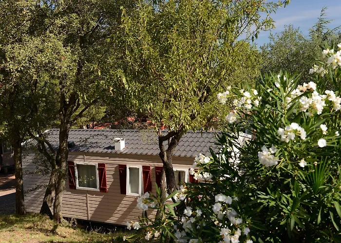 Domaine Residentiel De Plein Air Odalys La Pinede 3* Agde